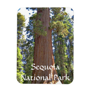 Nationaal park Sequoia Magneet