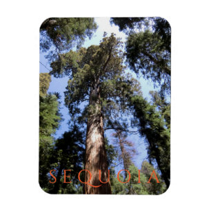Nationaal park Sequoia Magneet