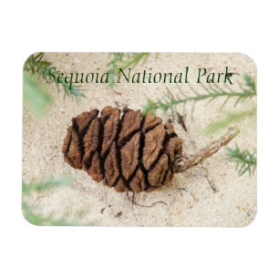 Nationaal park Sequoia Magnet Magneet