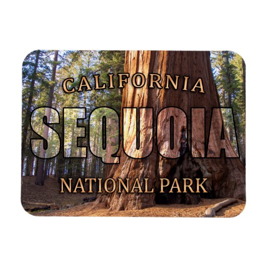 Nationaal park Sequoia Magnet Magneet (Horizontaal)