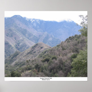 Nationaal park Sequoia Poster