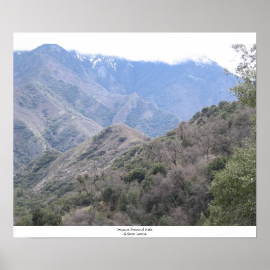 Nationaal park Sequoia Poster (Voorkant)