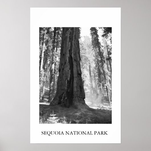 Nationaal park Sequoia Poster (Voorkant)