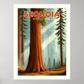 Nationaal park Sequoia Poster (Voorkant)