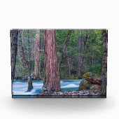 Nationaal Park Sequoias & Merced River Yosemite, C Fotoblokken (Voorkant)