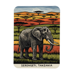 Nationaal park Serengeti Tanzania Magneet