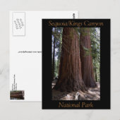 Nationaal Park Souvenir Sequoia Kings Canyon Briefkaart (Voorkant / Achterkant)