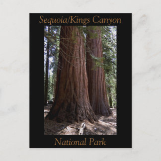 Nationaal Park Souvenir Sequoia Kings Canyon Briefkaart