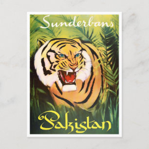 Nationaal park Sunderban Pakistan - vintonijnreize Briefkaart
