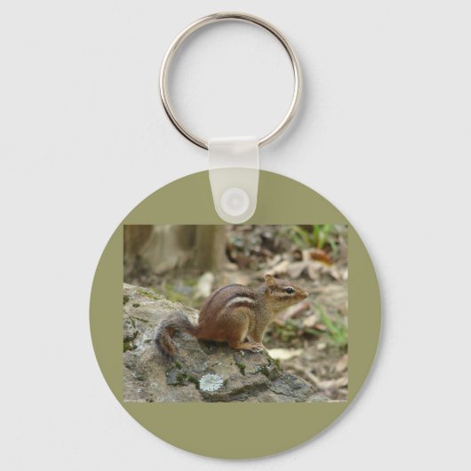 Nationaal Park Sweet Chipmunk Hot Springs Sleutelhanger (Voorkant)