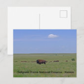 Nationaal park Tallgras Prairie - Kansas Briefkaart (Voorkant / Achterkant)