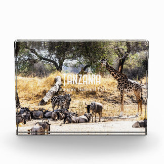 Nationaal park Tarangire Fotoblokken