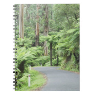 Nationaal park Tarra Bulga, Strzelecki Ranges Notitieboek