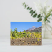 Nationaal park Teide in Tenerife Briefkaart (Staand voorkant)
