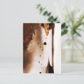 Nationaal park Terra Nova Briefkaart (Staand voorkant)