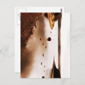 Nationaal park Terra Nova Briefkaart (Voorkant / Achterkant)