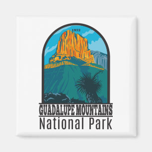 Nationaal Park Texas  Magneet