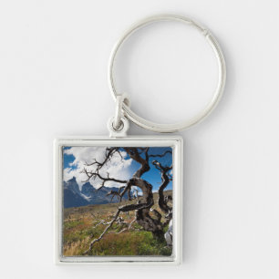 Nationaal park Torres del Paine, door brand bescha Sleutelhanger