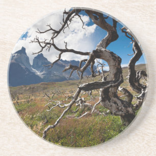 Nationaal park Torres del Paine, door brand bescha Zandsteen Onderzetter