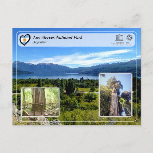 Nationaal park UNESCO - Los Alerces Briefkaart (Voorkant)