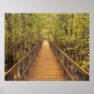 Nationaal park van Daintree UNESCO Werelderfgoed Poster