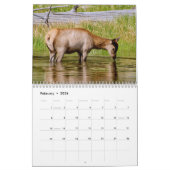 Nationaal park van geelsteen - een zeer speciale p kalender (Feb 2026)