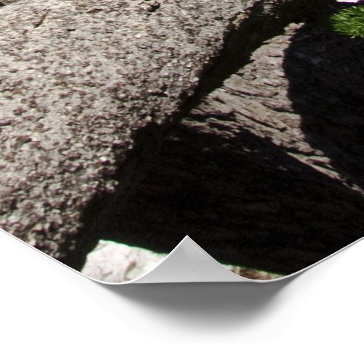 Nationaal park van het meer van Crater - Wizard Is Poster (Hoek)