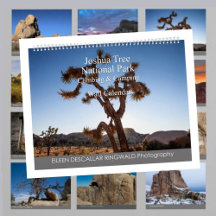 Nationaal park van Joshua Tree Klimaatverandering 