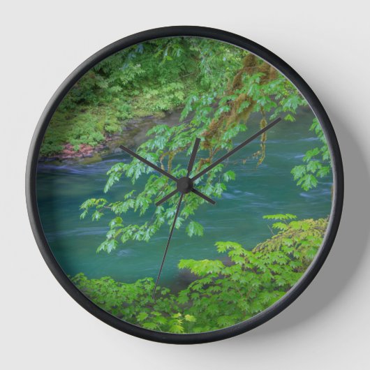 Nationaal Park Washington (Voorkant)