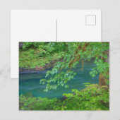 Nationaal Park Washington Briefkaart (Voorkant / Achterkant)