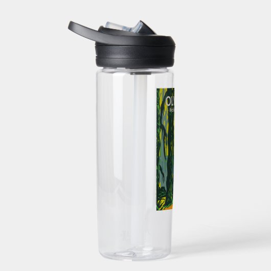 Nationaal park Washington Hoh Rainforest Waterfles (Rechts)