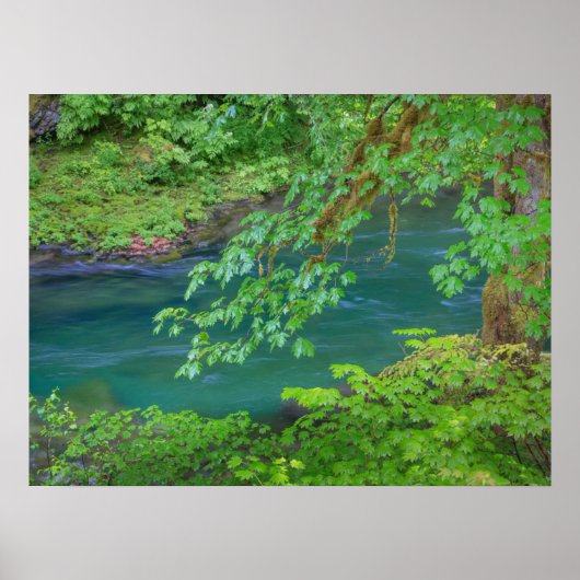 Nationaal Park Washington Poster (Voorkant)