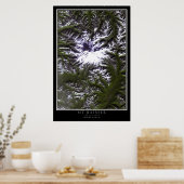 Nationaal Park Washington Satelliet Poster (Keuken)