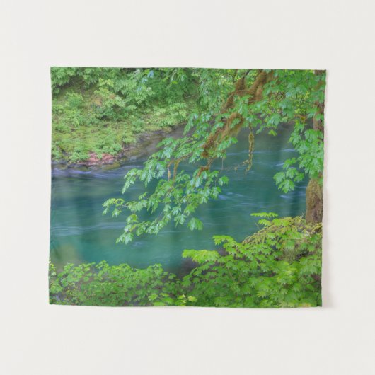 Nationaal Park Washington Wandkleed (Voorkant (horizontaal))