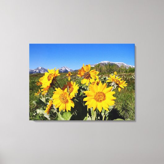 Nationaal park Waterton Lakes Wildbloemen Canvas Afdruk (Voorkant)