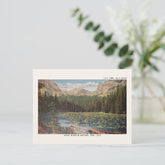 Nationaal park Wild Basin Briefkaart Rocky Mountai (Staand voorkant)