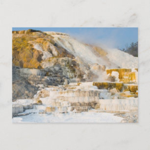 Nationaal Park Yellowstone Briefkaart