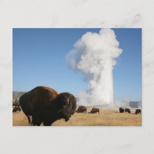 Nationaal Park Yellowstone Briefkaart (Voorkant)