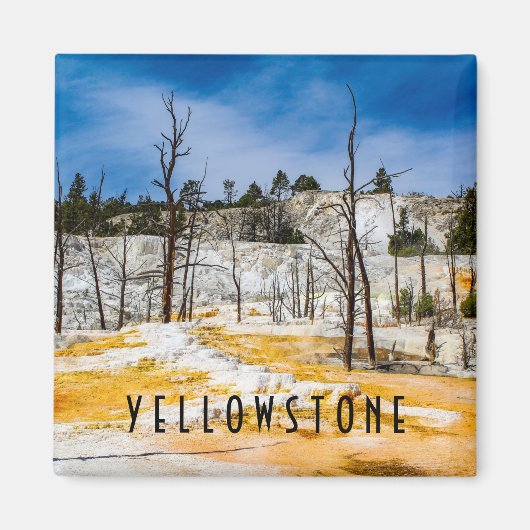 Nationaal Park Yellowstone Magneet (Voorkant)