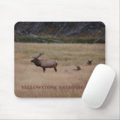 NATIONAAL PARK YELLOWSTONE MUISMAT (Met muis)