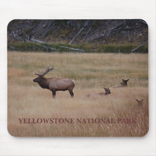 NATIONAAL PARK YELLOWSTONE MUISMAT (Voorkant)