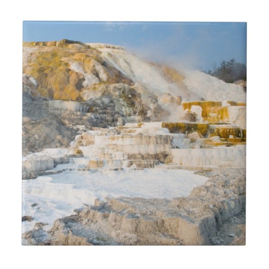 Nationaal Park Yellowstone Tegeltje (Voorkant)