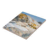 Nationaal Park Yellowstone Tegeltje (Zijkant)