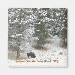 Nationaal Park Yellowstone, WY Magneet
