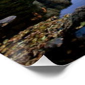 Nationaal park Yosemite Perfect Poster (Hoek)