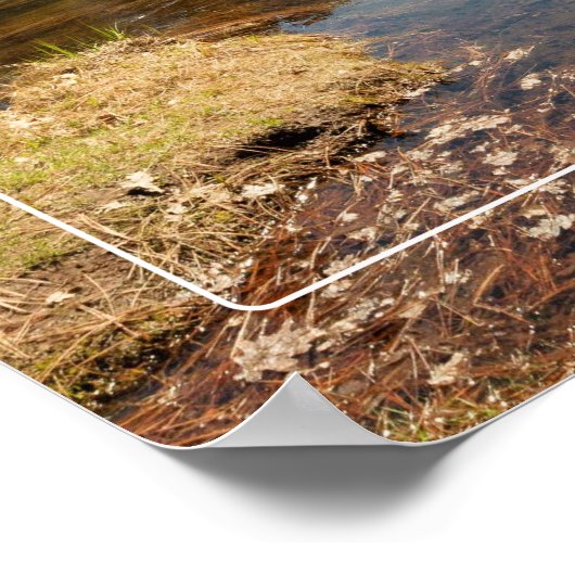 Nationaal park Yosemite Poster (Hoek)