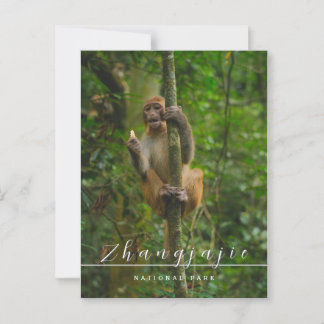 Nationaal park Zhangjajie briefkaart