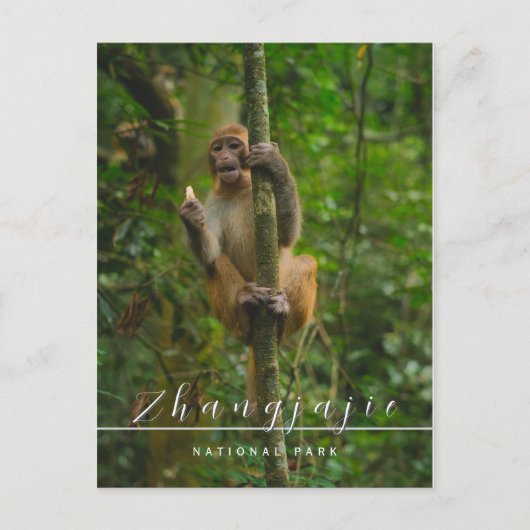 Nationaal park Zhangjajie briefkaart (Voorkant)