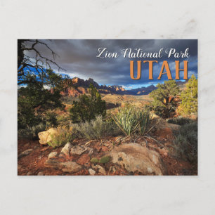 Nationaal Park Zion Briefkaart