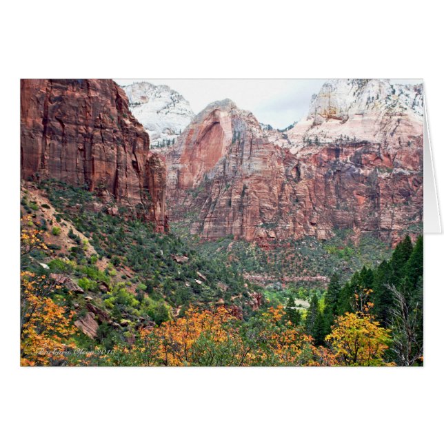 Nationaal Park Zion Canyon (Voorkant Horizontaal)